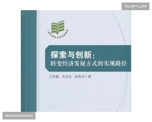 多元化发展路径的实践探索与创新模式分析 多元化发展路径的实践探索与创新模式分析