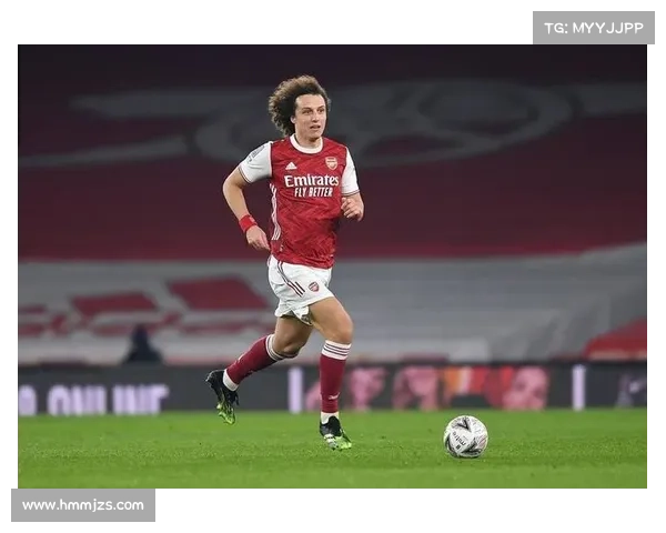 如何判断大卫路易斯在足球场上的最佳位置与战术作用分析