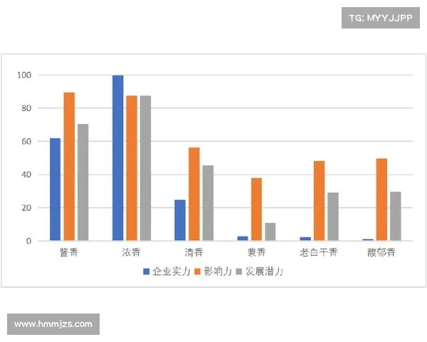 提升足球俱乐部竞争力的五大财务策略与实施路径分析